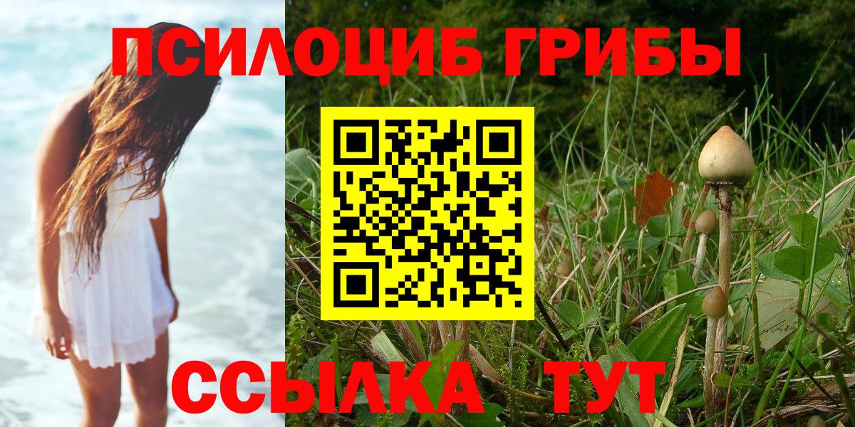 Саяногорск  Псилоцибиновые грибы MAGIC MUSHROOMS  Вход с VPN 